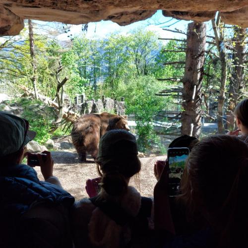 Innsbruckfahrt_26_24