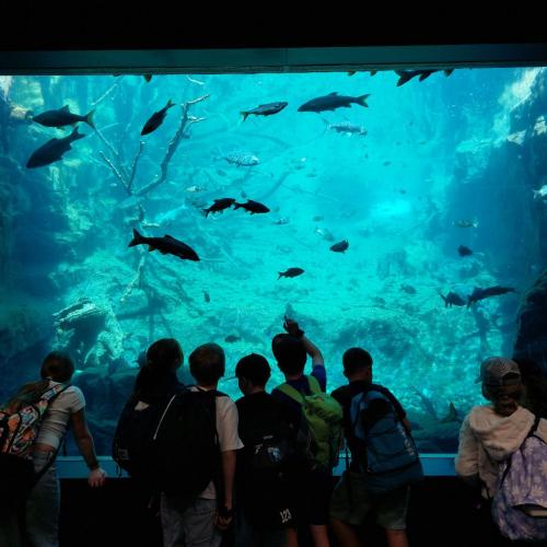 Innsbruckfahrt_26_25